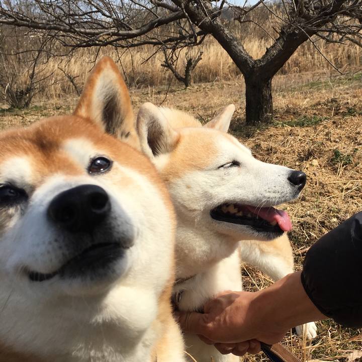 Df1f6c56 6701 4afd b655 eb3defdb5d70