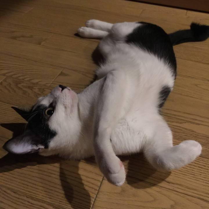 Df1fd35e aea6 488d aab2 b0b88e4054a5