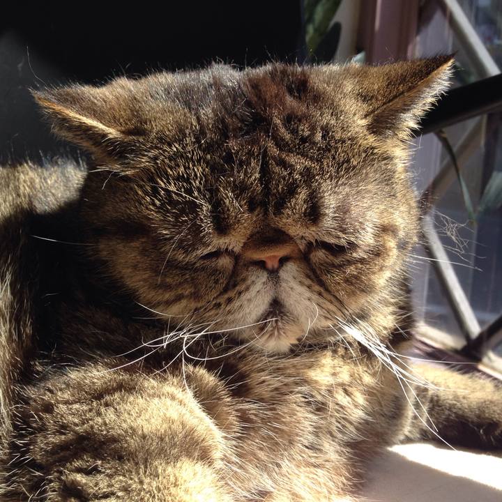 Df202b0e e704 44ec 93b1 ef57826e7b67