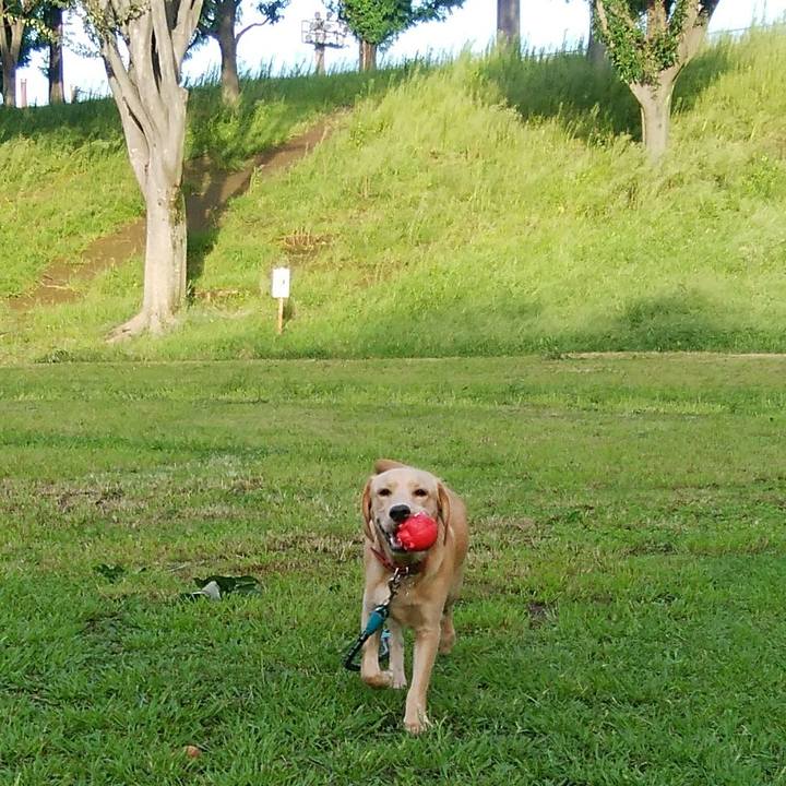 Df202f90 9023 4d2f ad45 2feddad9c36e