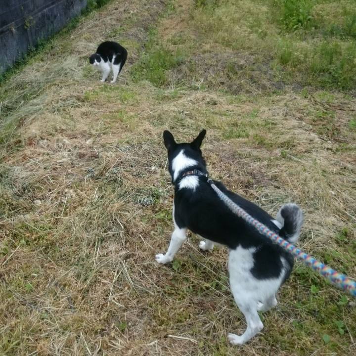 Df204356 5c2f 4b0f b00e b920a9b24772