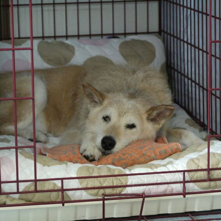 Df20e2c5 c966 4a32 bc5c 2ecafdbe2f07