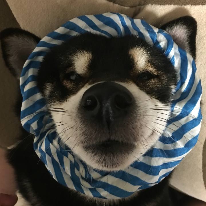 Df211cdb aefc 4251 b4ce 6e9f01c6ddcf