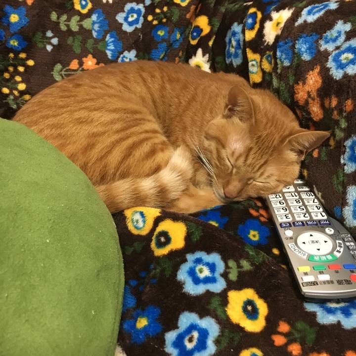 Df21e413 696b 4329 a239 a76d3d54bff4