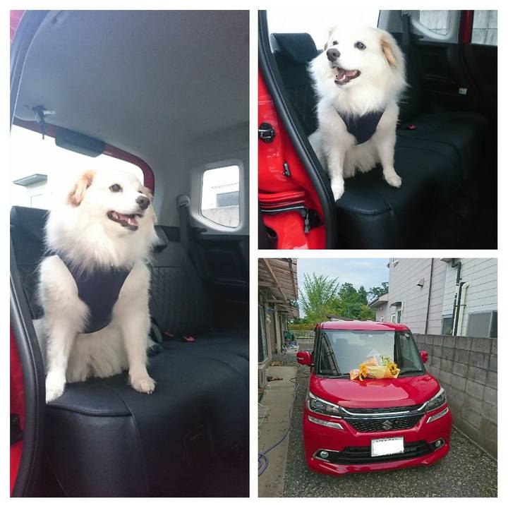 Df22016b 52cd 4940 9dac 25e4f65cebd9