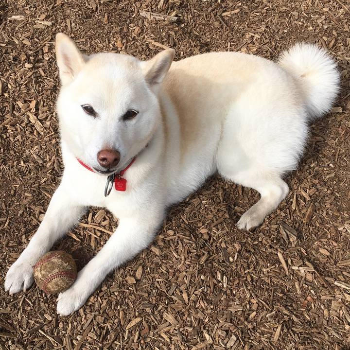 Df22be07 c5a4 44ee 8df1 bdeec11a2985