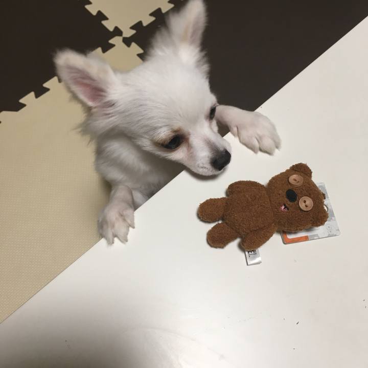 Df22e4f8 9ec5 4651 ac6b b9c42f0370e4