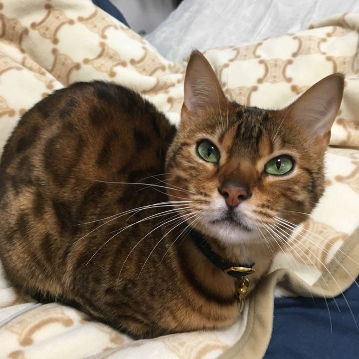 Df22e831 c381 4e84 8410 ae97bb1a9e76