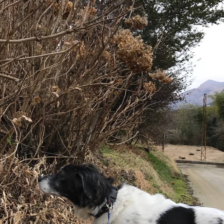 Df23143d 171d 4b31 9a7b 29c66f5b5213