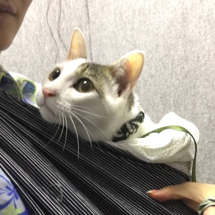 Df2329e7 a2d0 4873 b8ee 321be7643e74