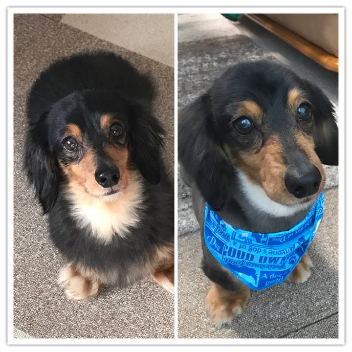 Df235cdc 9199 44fd 8fc7 add66071fbf5