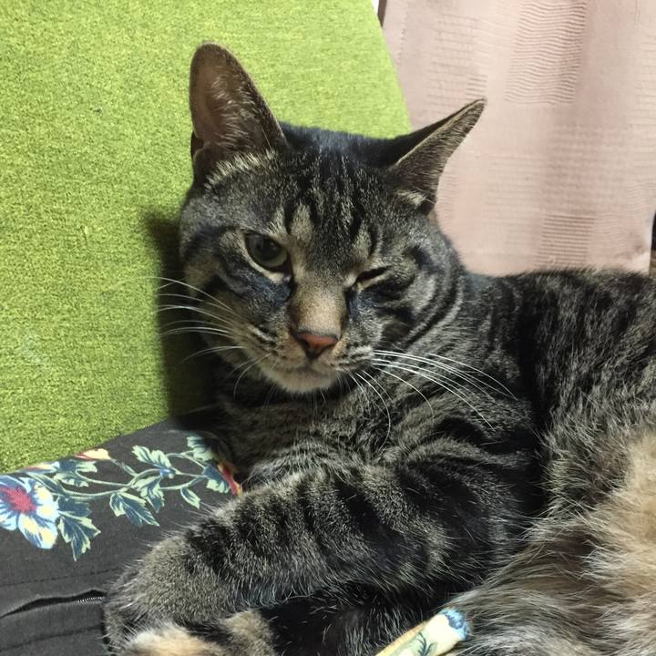 Df238595 58b3 44e7 b630 e950b098e8eb