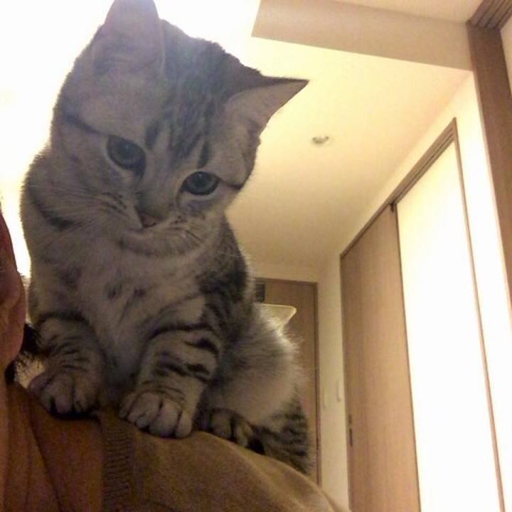 Df23fb20 34c3 40d3 be20 11fcd3979177