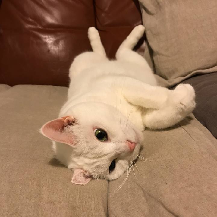 Df241782 40fa 4754 8d00 8a2bc6fc01e3