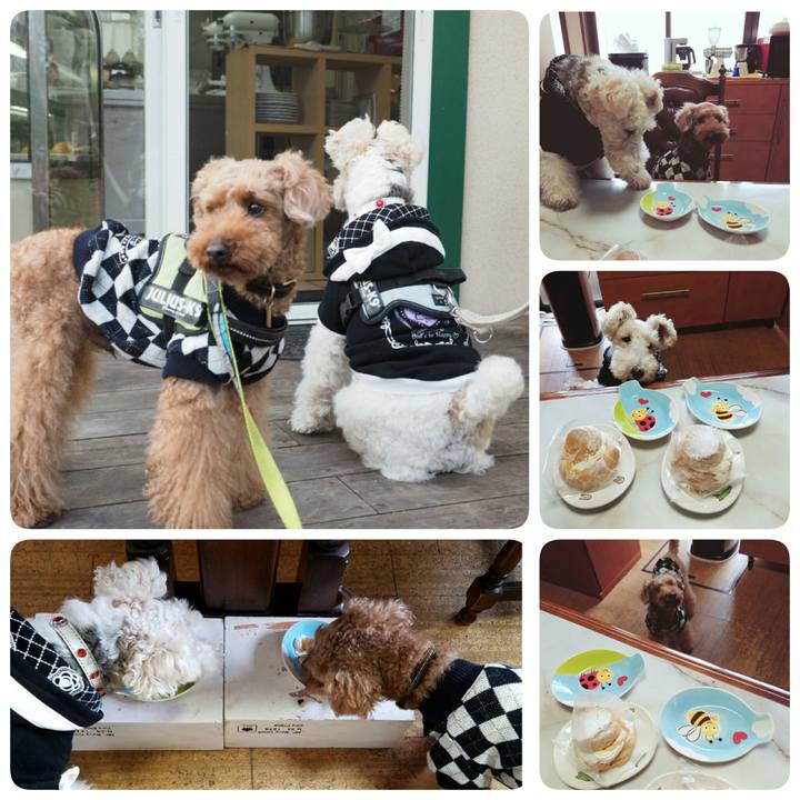 Df2467d3 3347 4c1f 8d32 7440e3b2c0e3