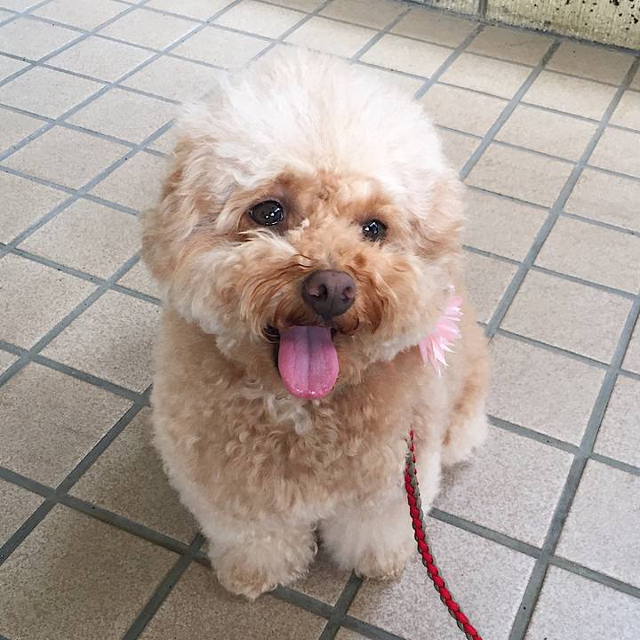 Df246c81 21c1 4ac8 81c8 bc4ab8409c8a