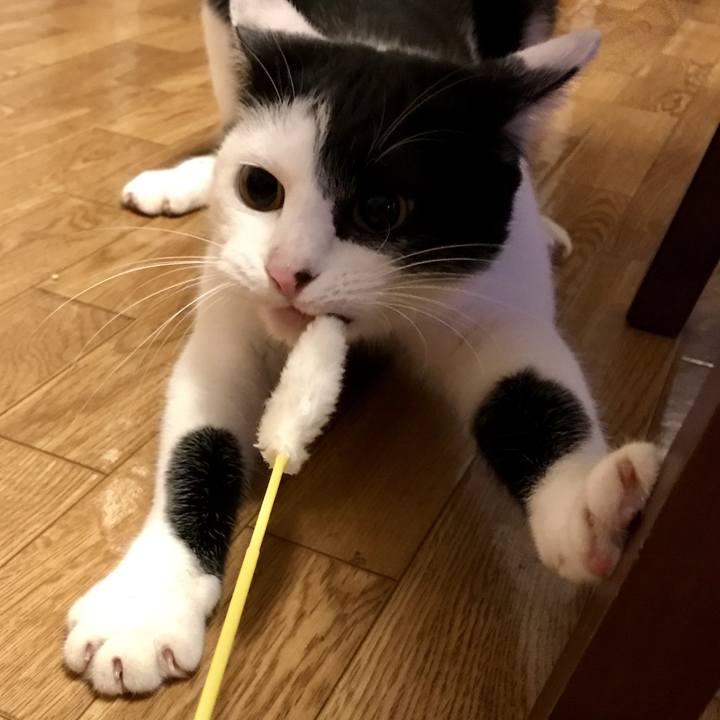 Df256913 b0d0 4c19 ac1b 9a38154a8844