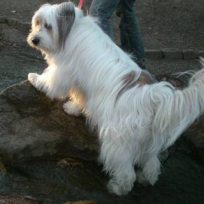 Df25aebc eee0 49a7 871b d00e343ff521