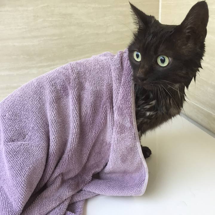 Df260e70 7db0 46f4 b17b 692ffa32edb3