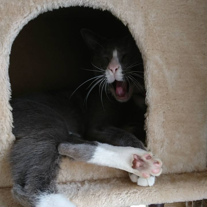 Df264634 21ed 4c15 8aec 901a79686162