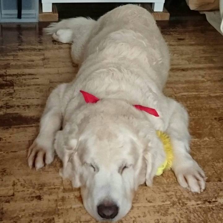 Df268e37 0733 4e4c 9d59 776b38935743