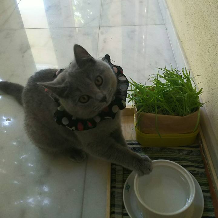 Df272757 8ad3 4d00 b8d2 7b566c5a3f44