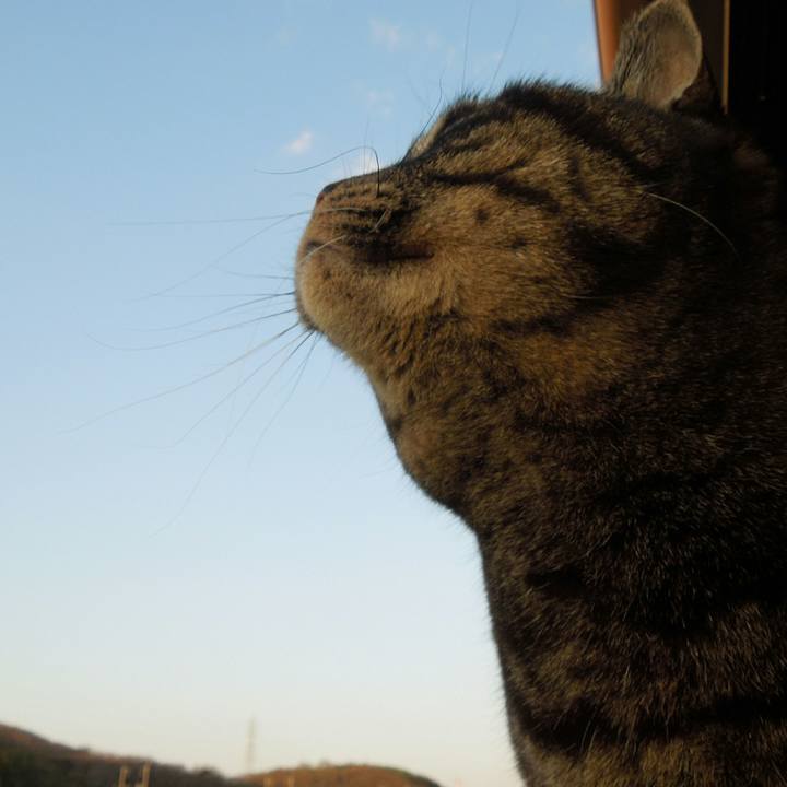 Df275bb1 3ebe 4102 9193 49be6aeb5621