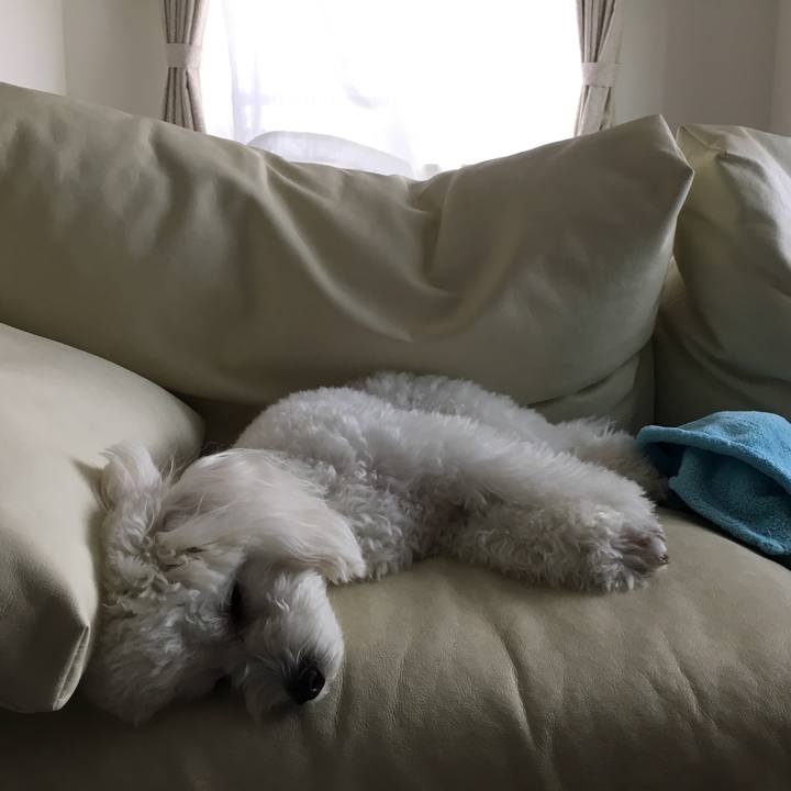 Df27e7f0 2cb3 4f26 a903 68748340c43d