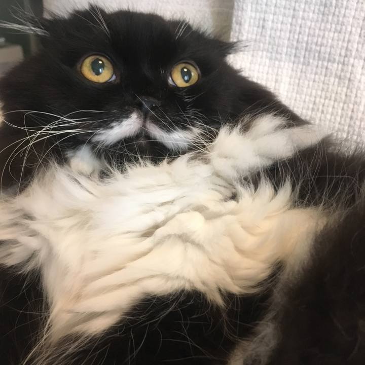 Df27f6dd faaf 4320 a002 f9a15e7415bf