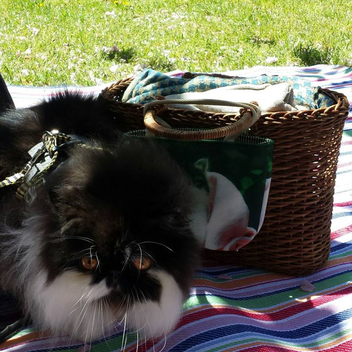 Df2818ef 78d7 47c4 b63d d442ffaf0df1