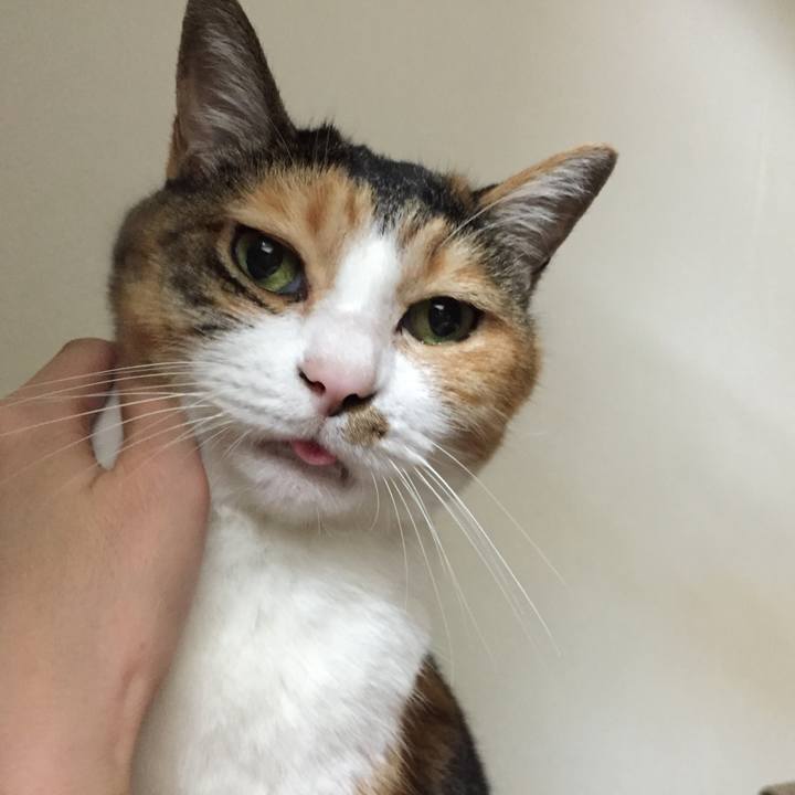 Df2896be 6327 4433 ac65 b4e0aed409b0