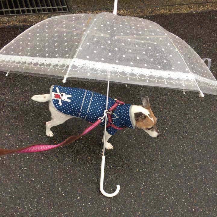 Df28a74a d91a 4a2f 9a90 951340e401fc