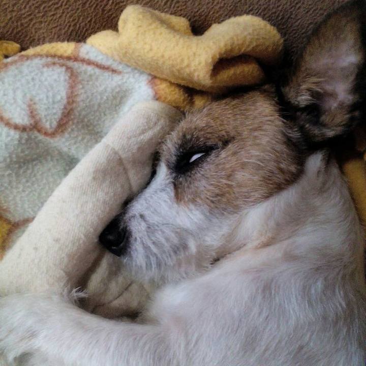 Df28b462 4e4a 4cd1 b957 5ff237964869