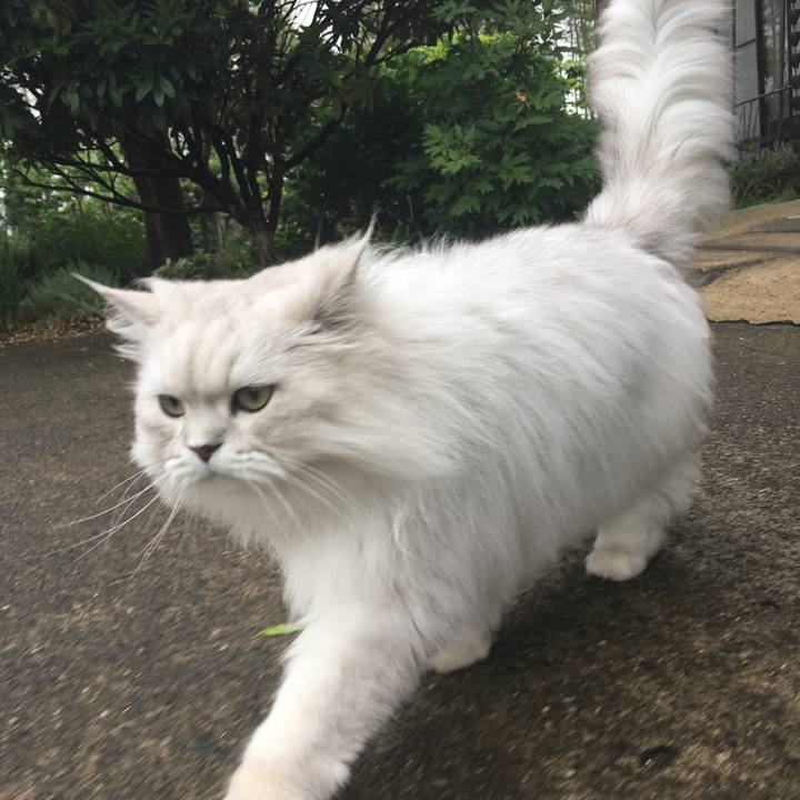 Df28df0d 60f8 4fe1 915b c07be89ac628