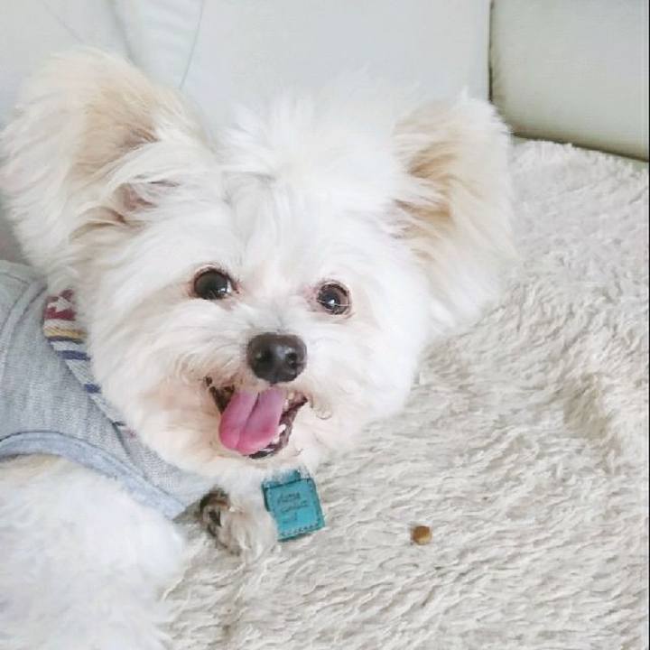 Df28f3db 41f9 433b ad77 7f4a30f4251d