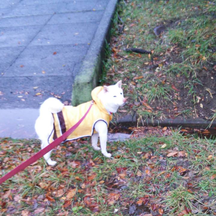 Df298a98 76bf 4391 930d 5f486eb9f88f