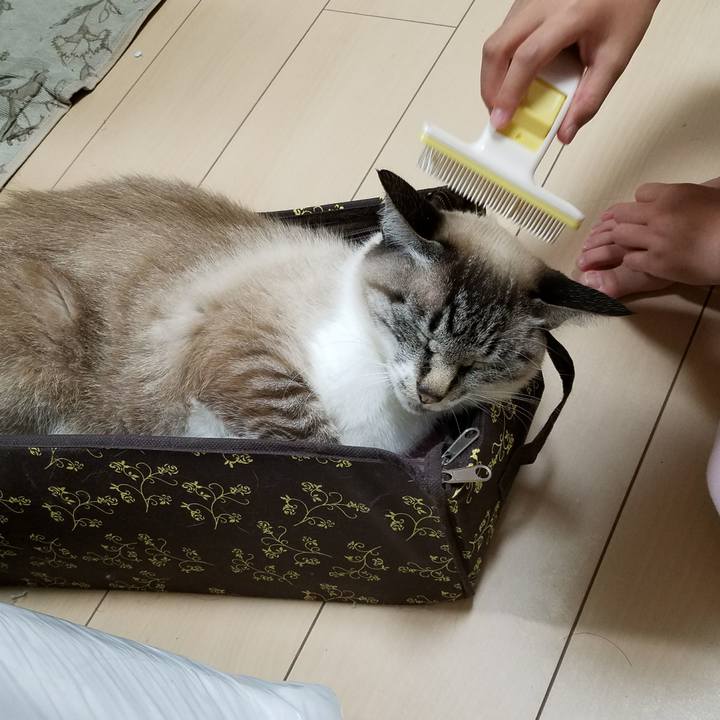 Df29c6be 055d 4a41 83ef 08436b5d9d91