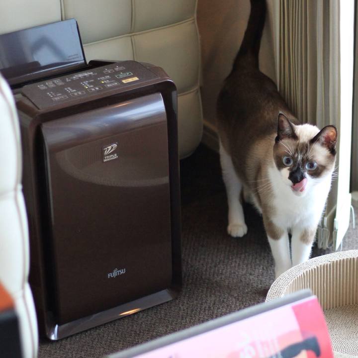 Df2a5106 c279 4533 a6e5 f87295b1841b