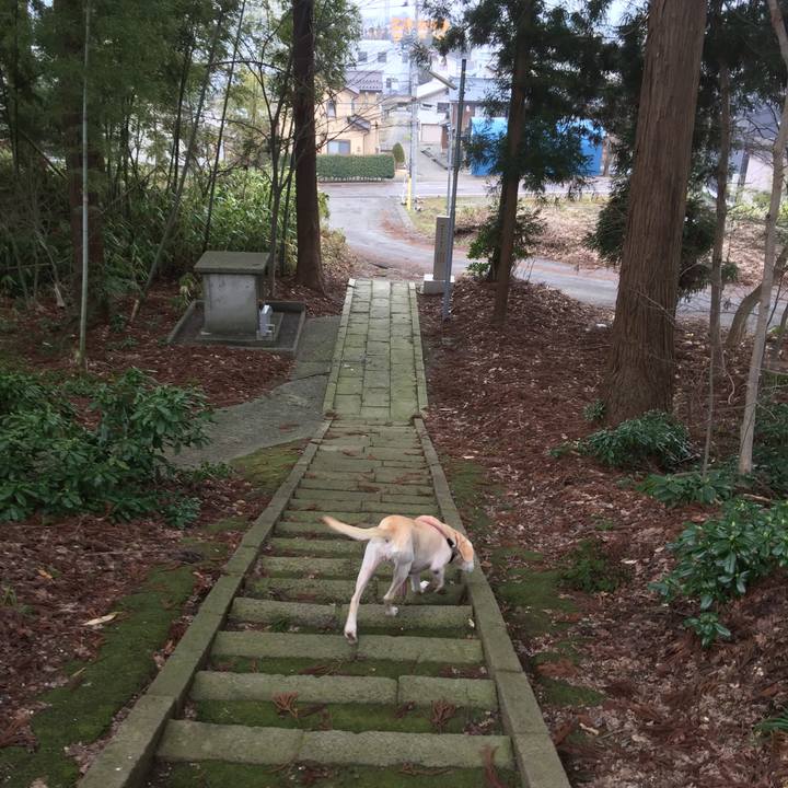 Df2abbde 2630 4eac 8d84 9b5b392065dc