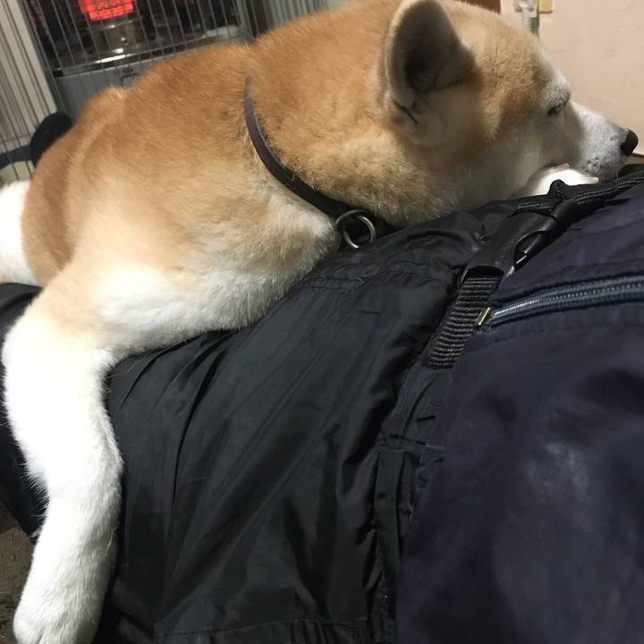 Df2be560 1335 43ac 950b 4ff04ff8821c