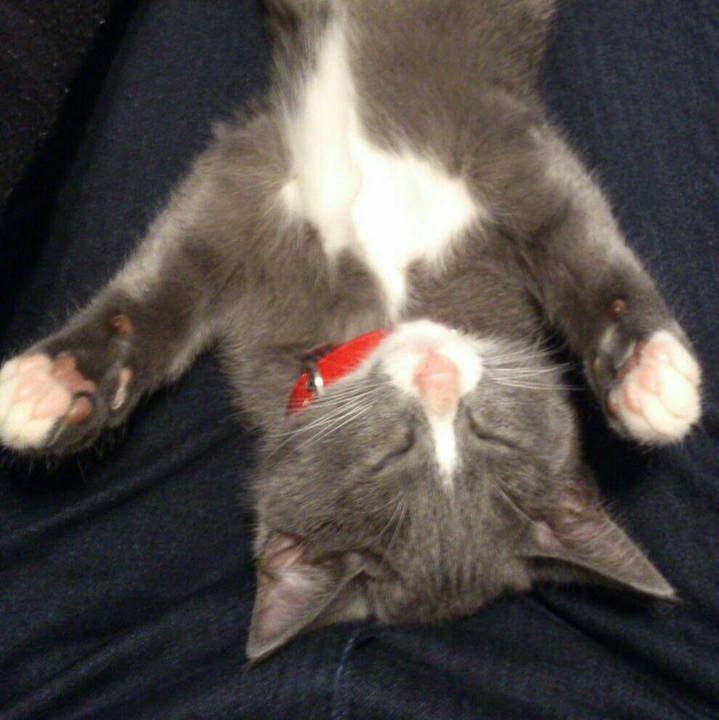 Df2cc779 4ca6 4f3c acc5 924a942c69ec