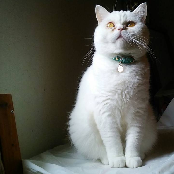 Df2d3398 4e1b 430c 8929 94deab1047e1