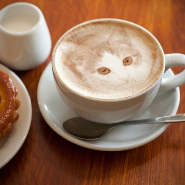 Df2da206 efb1 4b83 a186 104be8b513fc