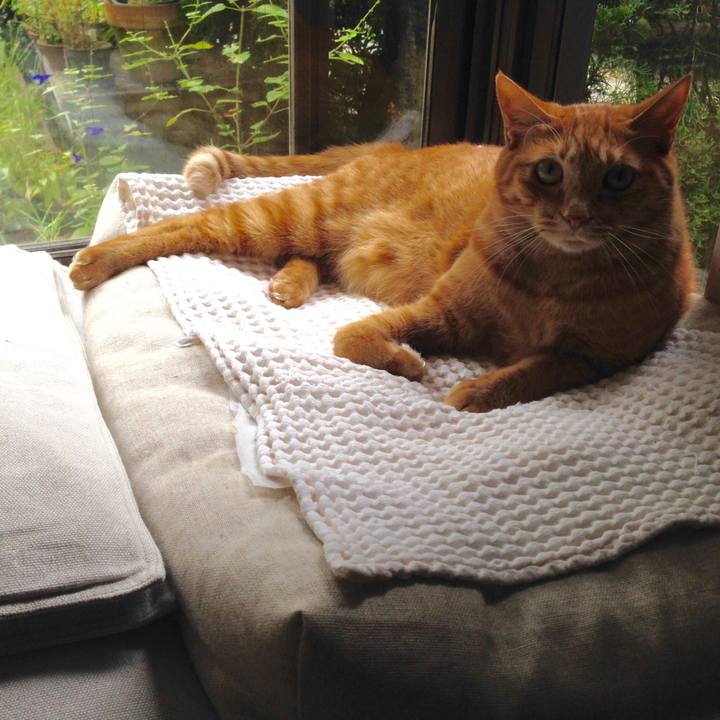 Df2daa02 70d5 499a abdc c9afae496020