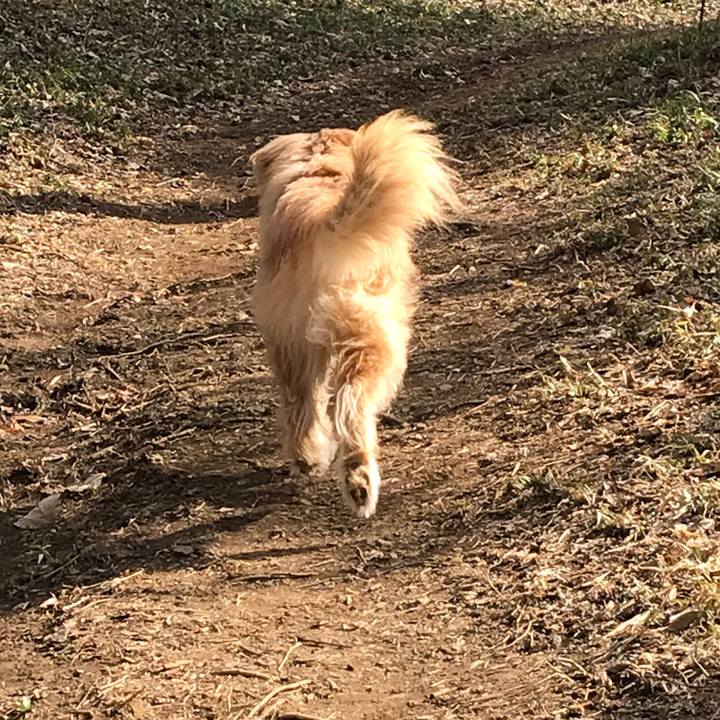 Df2dc0d4 9a64 4005 bc0a 258e7fba3bec