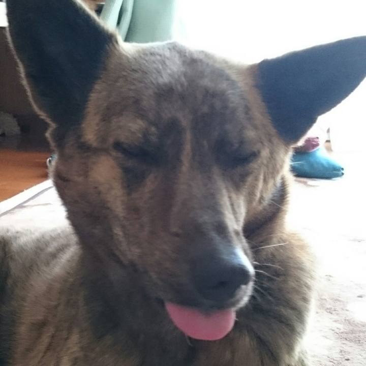 Df2e350d a09c 49db 86f8 e2e5445e7a7e