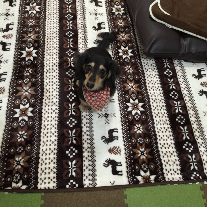 Df2ec875 882d 4f44 8fc7 c9acc59f12c2