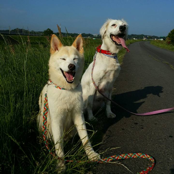 Df2ef4c6 d351 41b3 871a 32496d188104