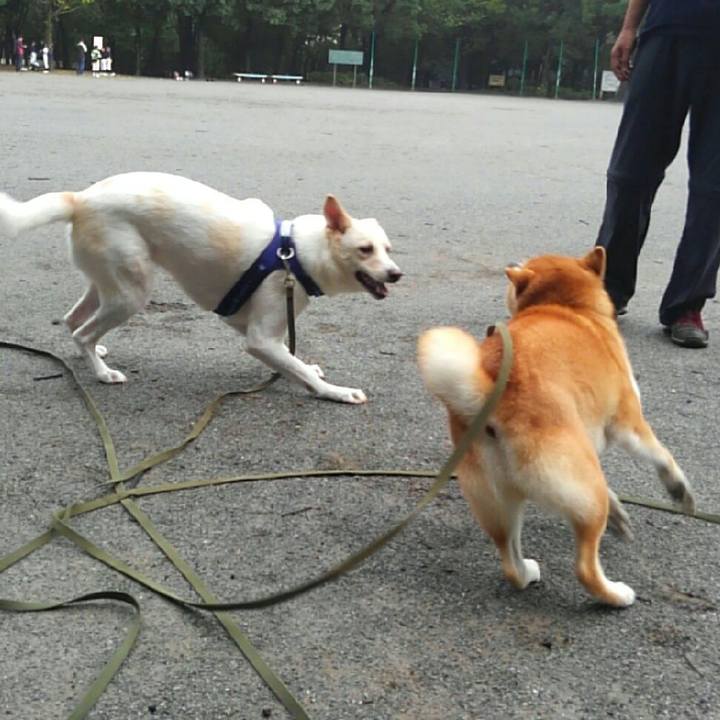 Df2f22a7 51f4 47a8 9a26 12480e1fd9a1