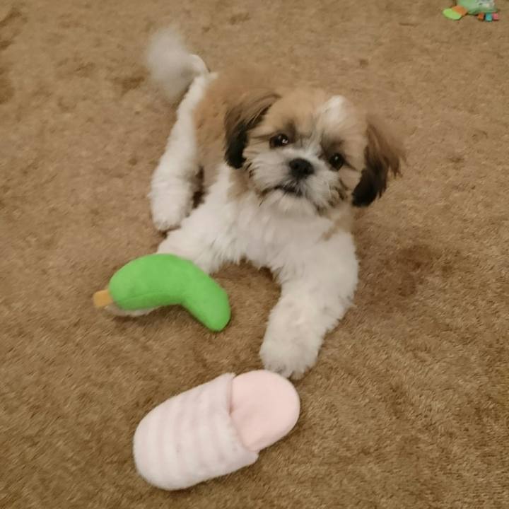 Df2f8e0c 1f67 4538 bf93 80ff895417f4